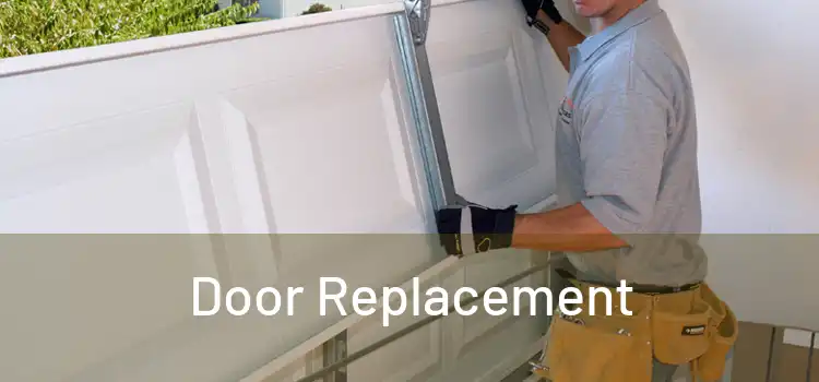  Door Replacement 